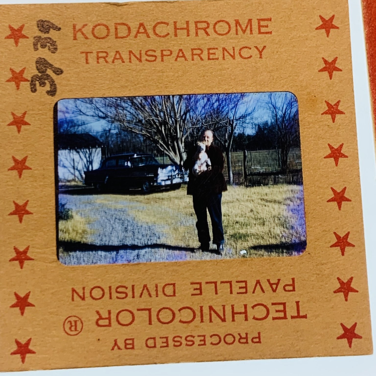 Vintage 35mm Kodachrome Slide Man Dog Car 1950s Technicolor Pavelle Vintage 35mm Kodachrome Slide Man Dog Car 1950s Technicolor Pavelle