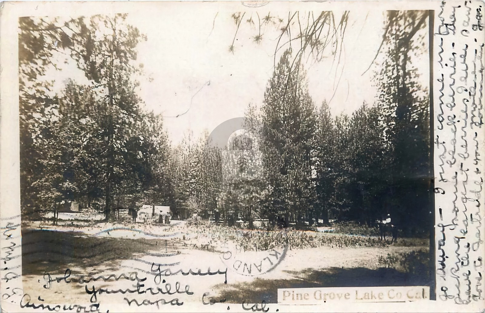 Pine Grove CA California Lake County 1908 RPPC Photo Postcard COPY