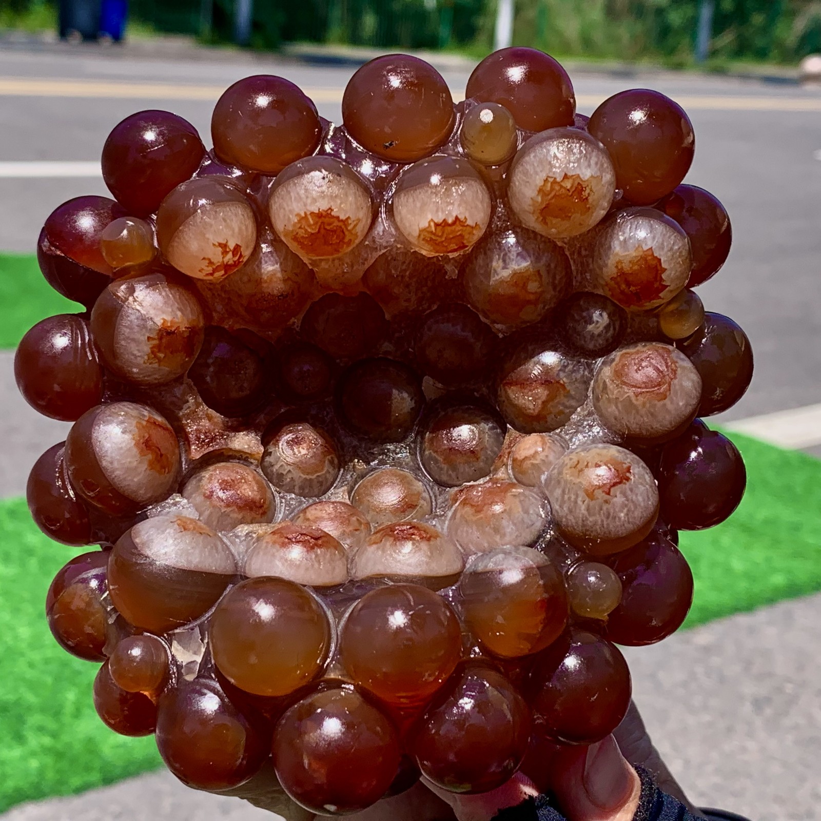 2.44LB Natural Gobi Agate Eye Agate grape shape Crystal Madagascar mineral-