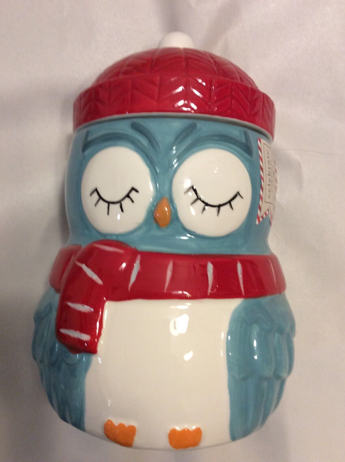 Cozy Winter Owl with Scarf & Hat Cookie Jar Aqua Red Winter Holiday Ceramic 9\