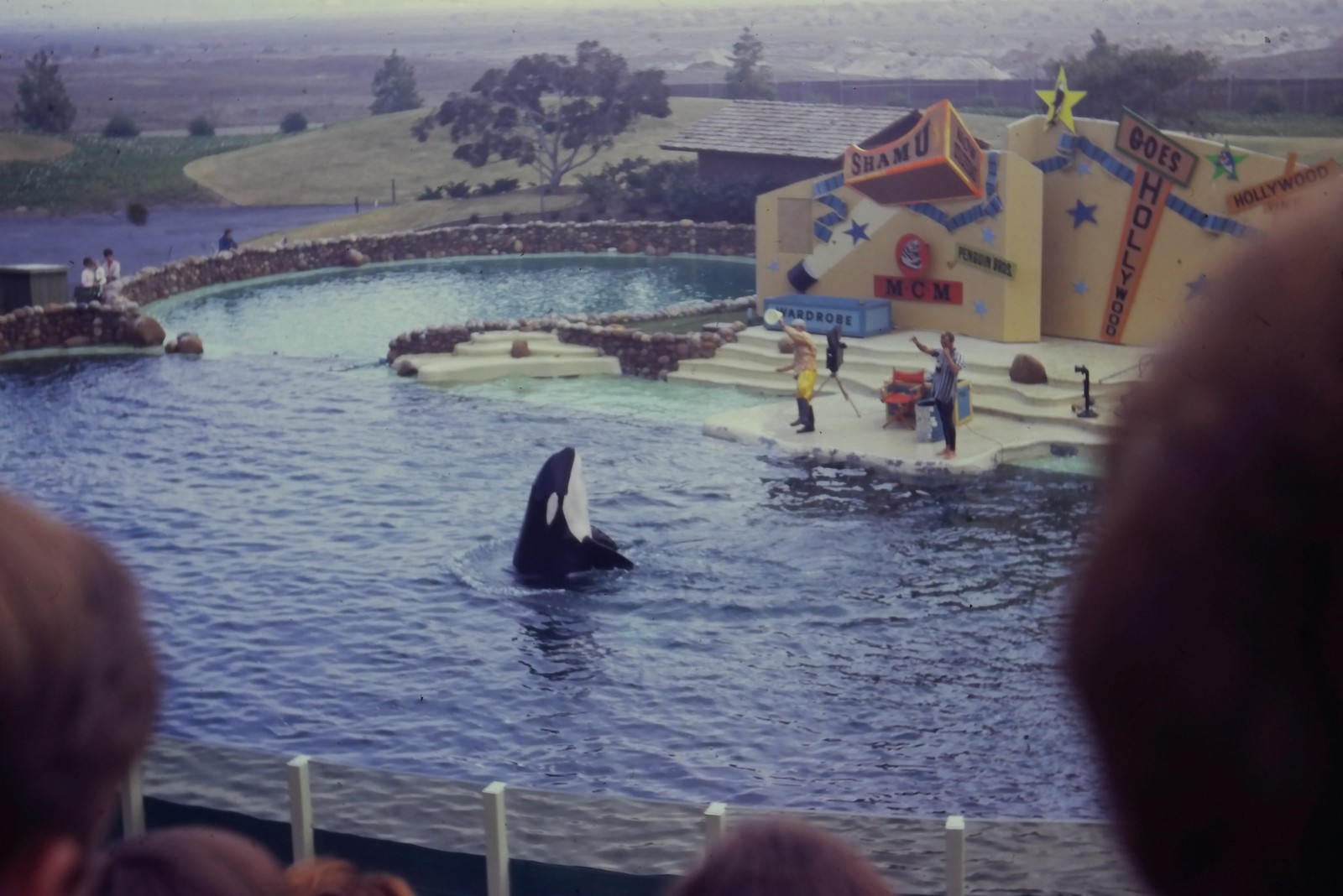 c1970's 35mm Slide SeaWorld San Diego Shamu Goes Hollywood Orca Show Sign Water c1970's 35mm Slide SeaWorld San Diego Shamu Goes Hollywood Orca Show Sign Water