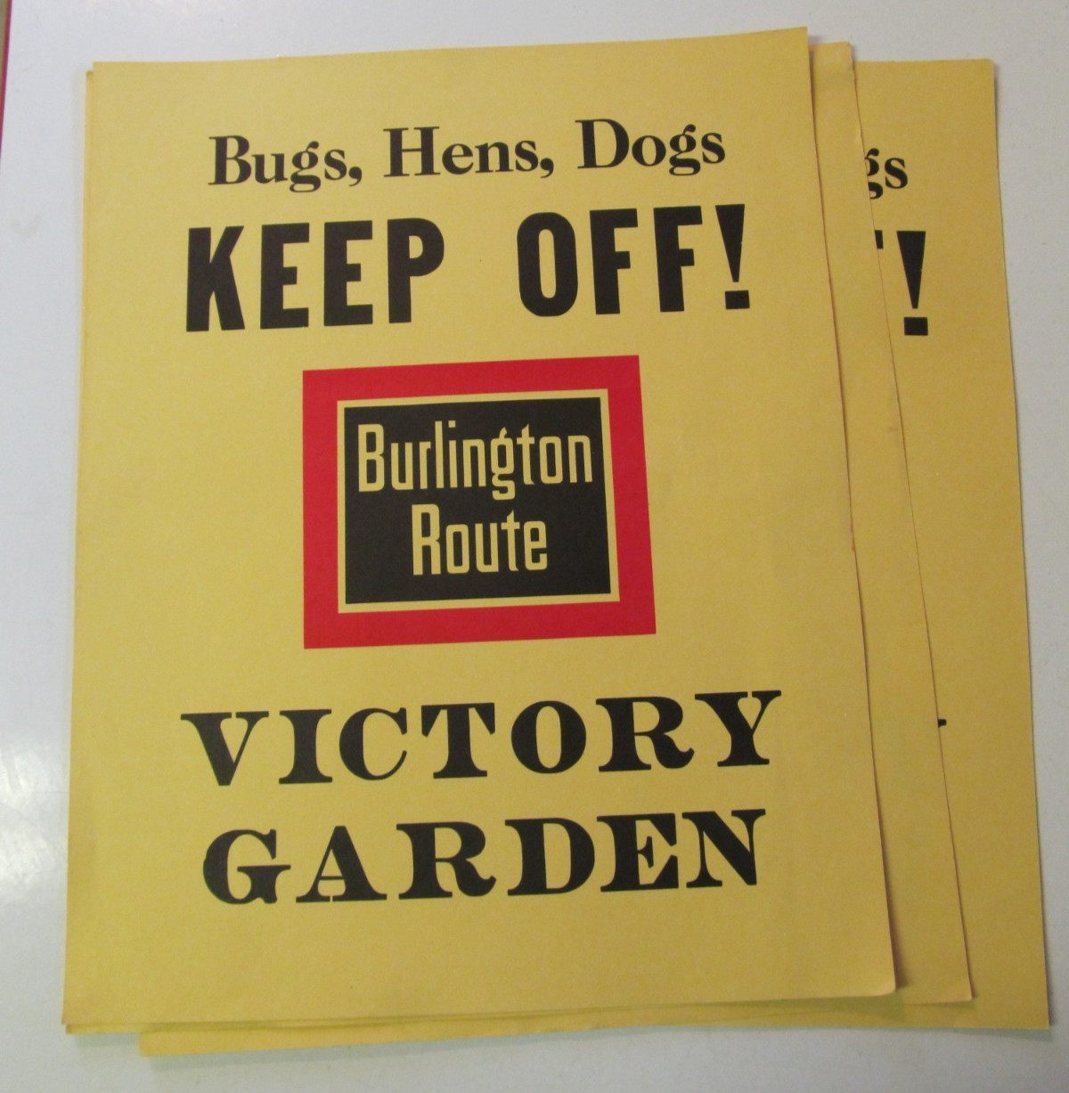 Burlington Route light cardstock Poster - Victory Garden 14 Burlington Route light cardstock Poster - Victory Garden 14