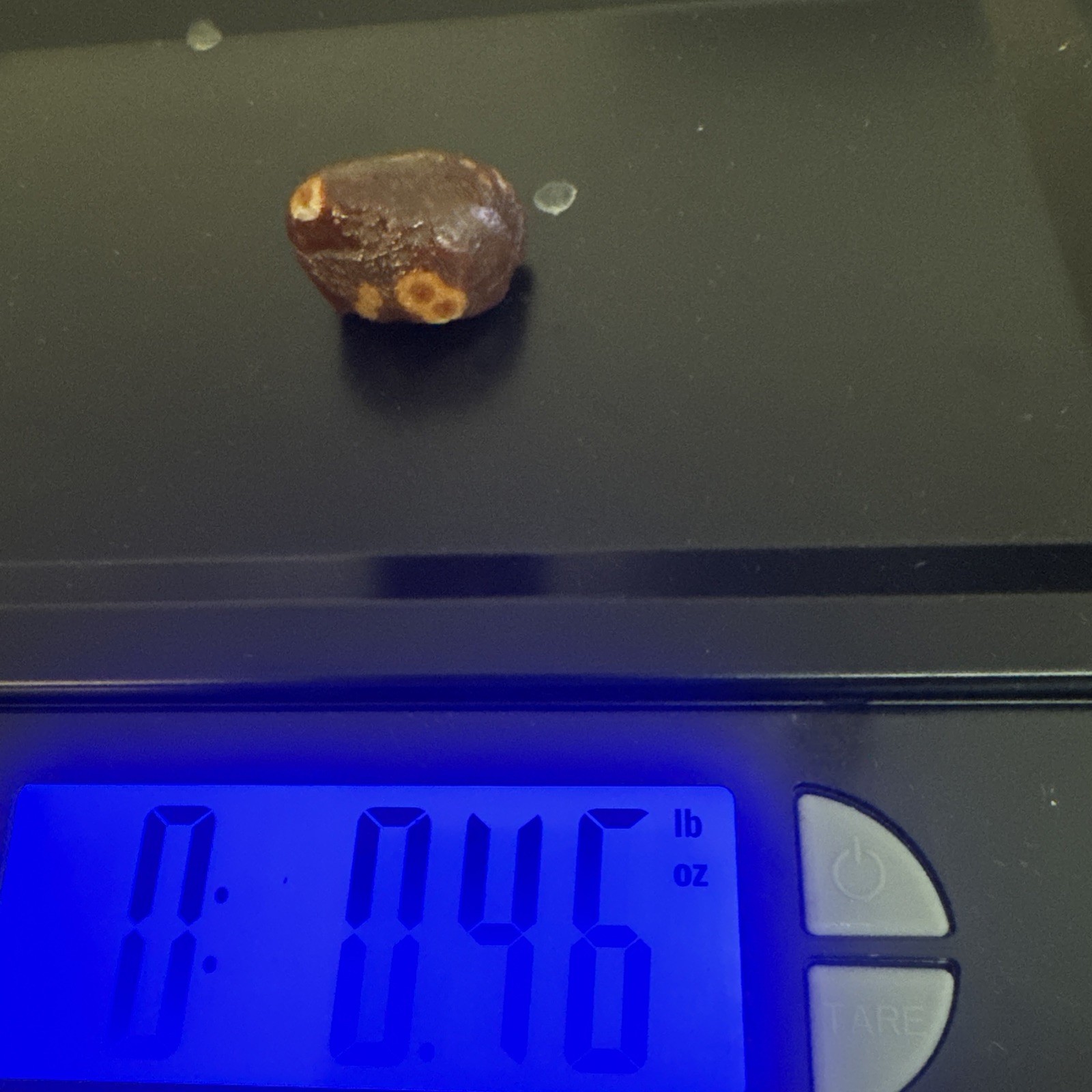 Lake Superior Agate Darkie