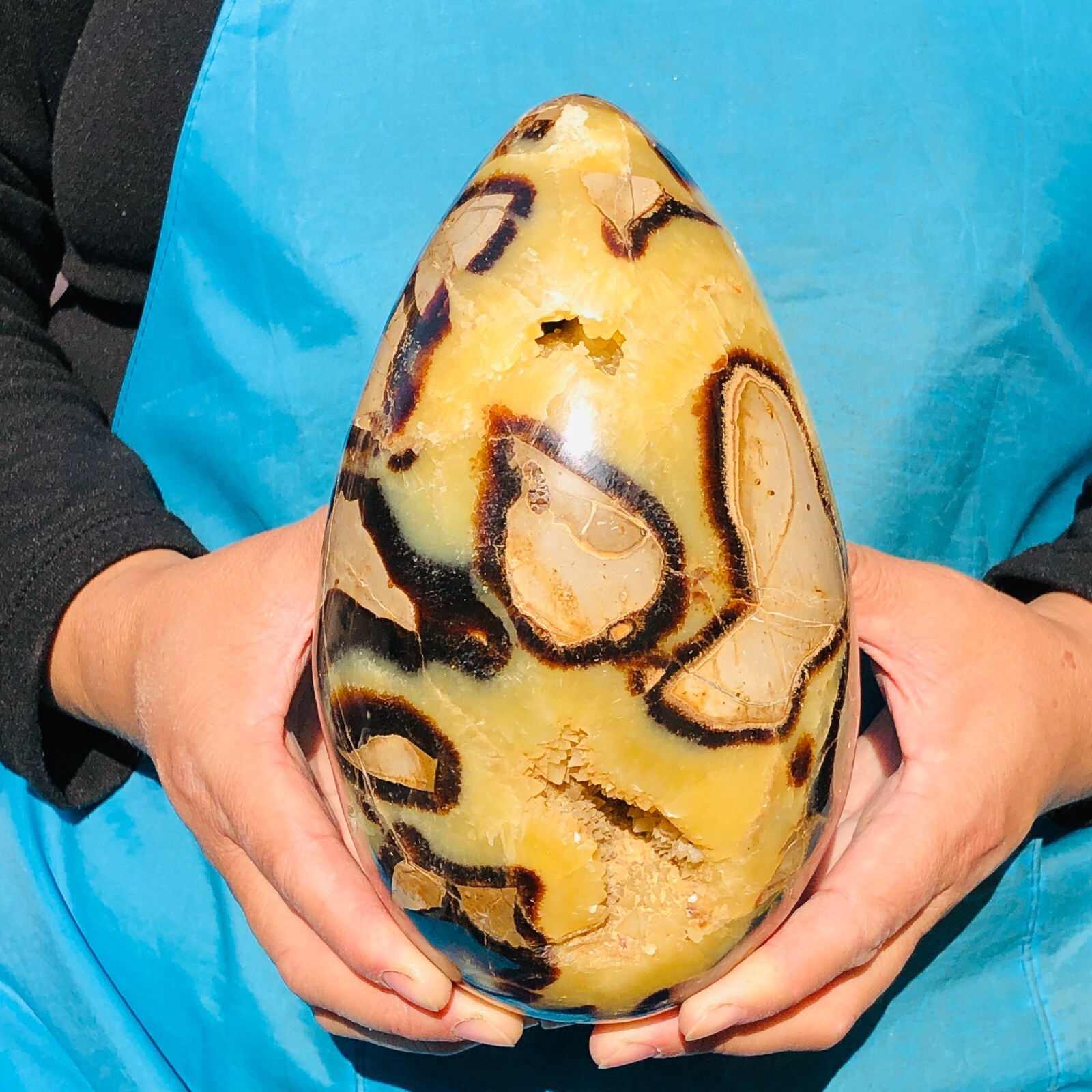 6.6LB Top Natural Dragon Septarian Crystal geode Quartz egg mineral Specimen