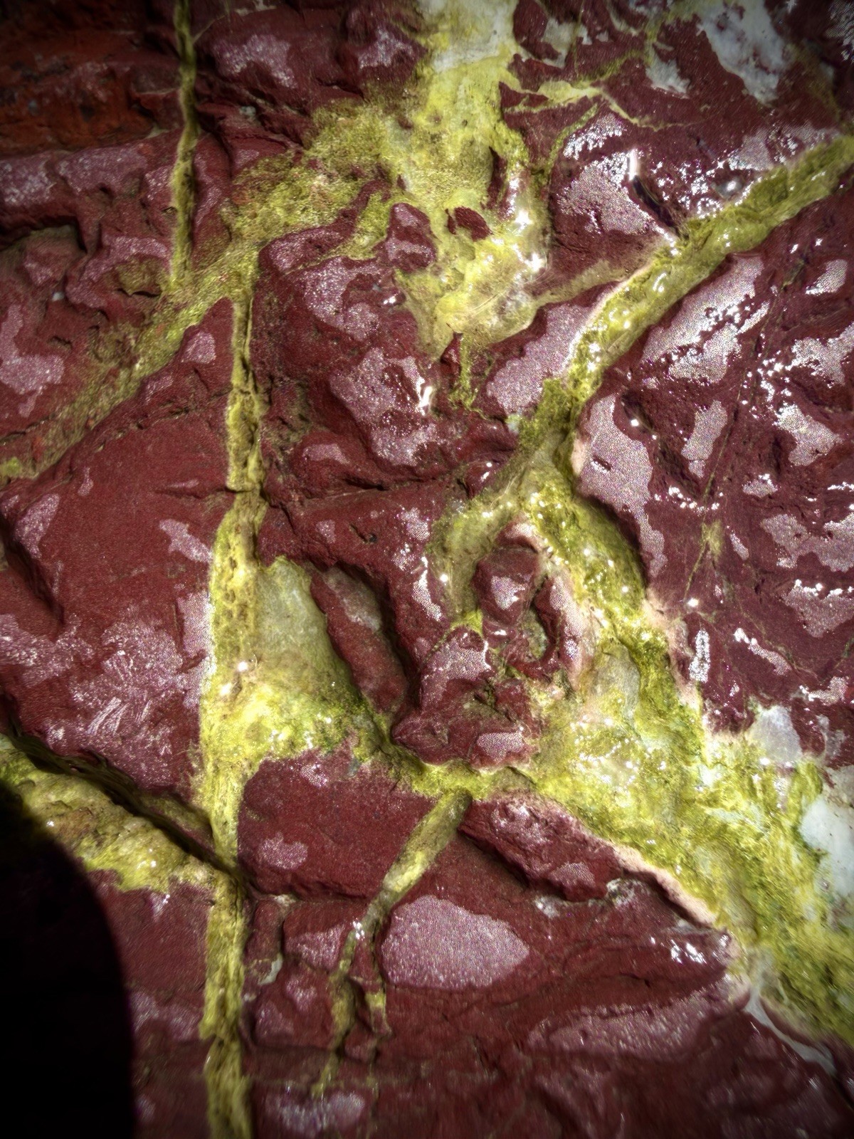 Trinity River CA Large Brecciated Red Jasper Green Veins Natural Specimen