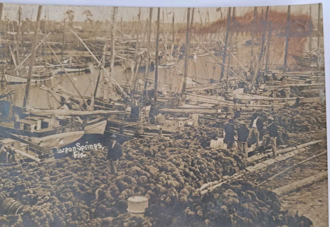 Postcard RPPC Tarpon Springs Boat Yard Men gathered Unp c1910 Postcard RPPC Tarpon Springs Boat Yard Men gathered Unp c1910