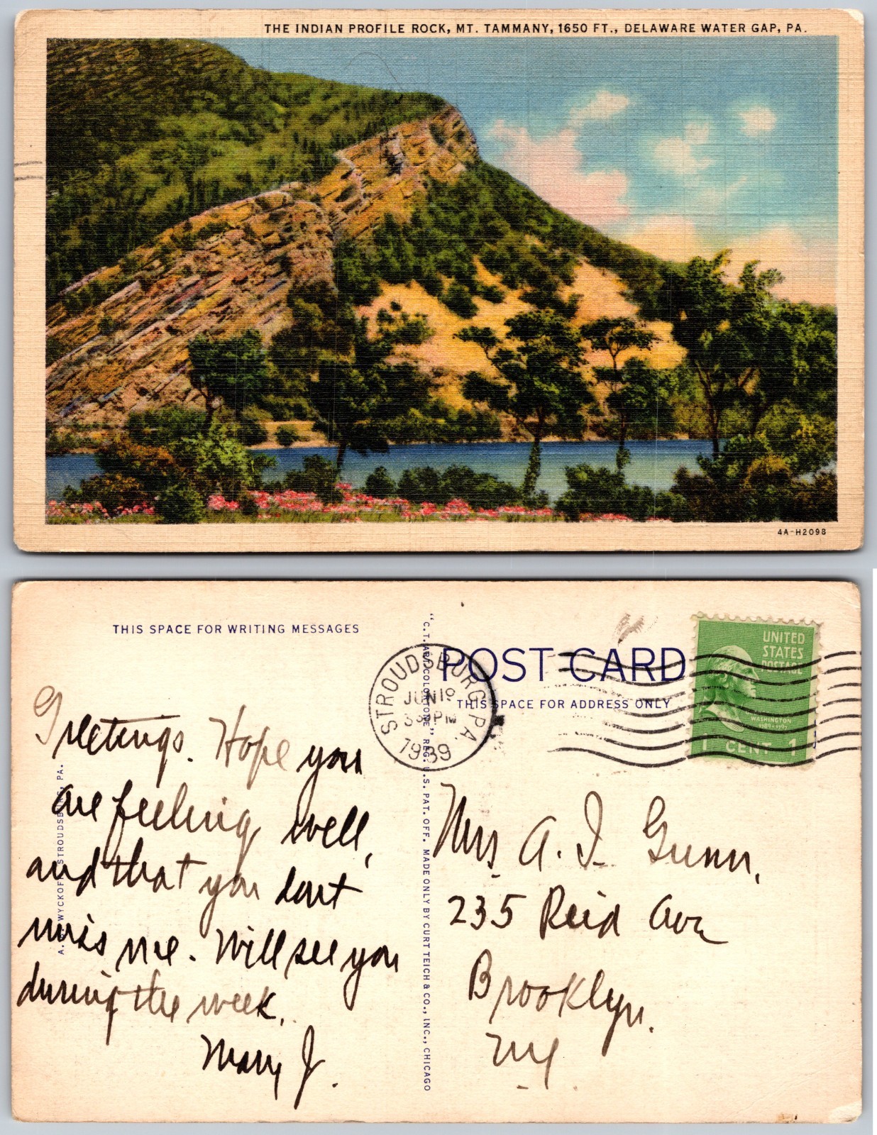 Indian Profile Rock Mount Tammany PA Postcard