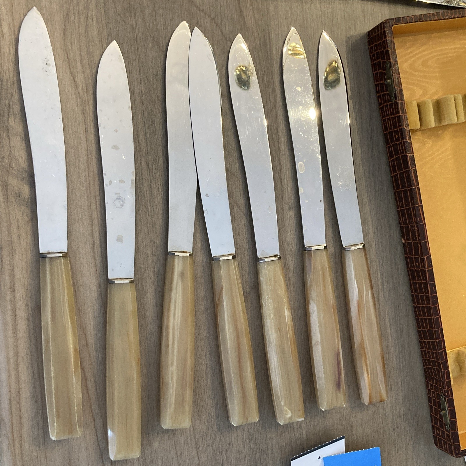 Vintage Letang Remy French Knives Set of 12 Faux Horn Bakelite/celluloid/ inox