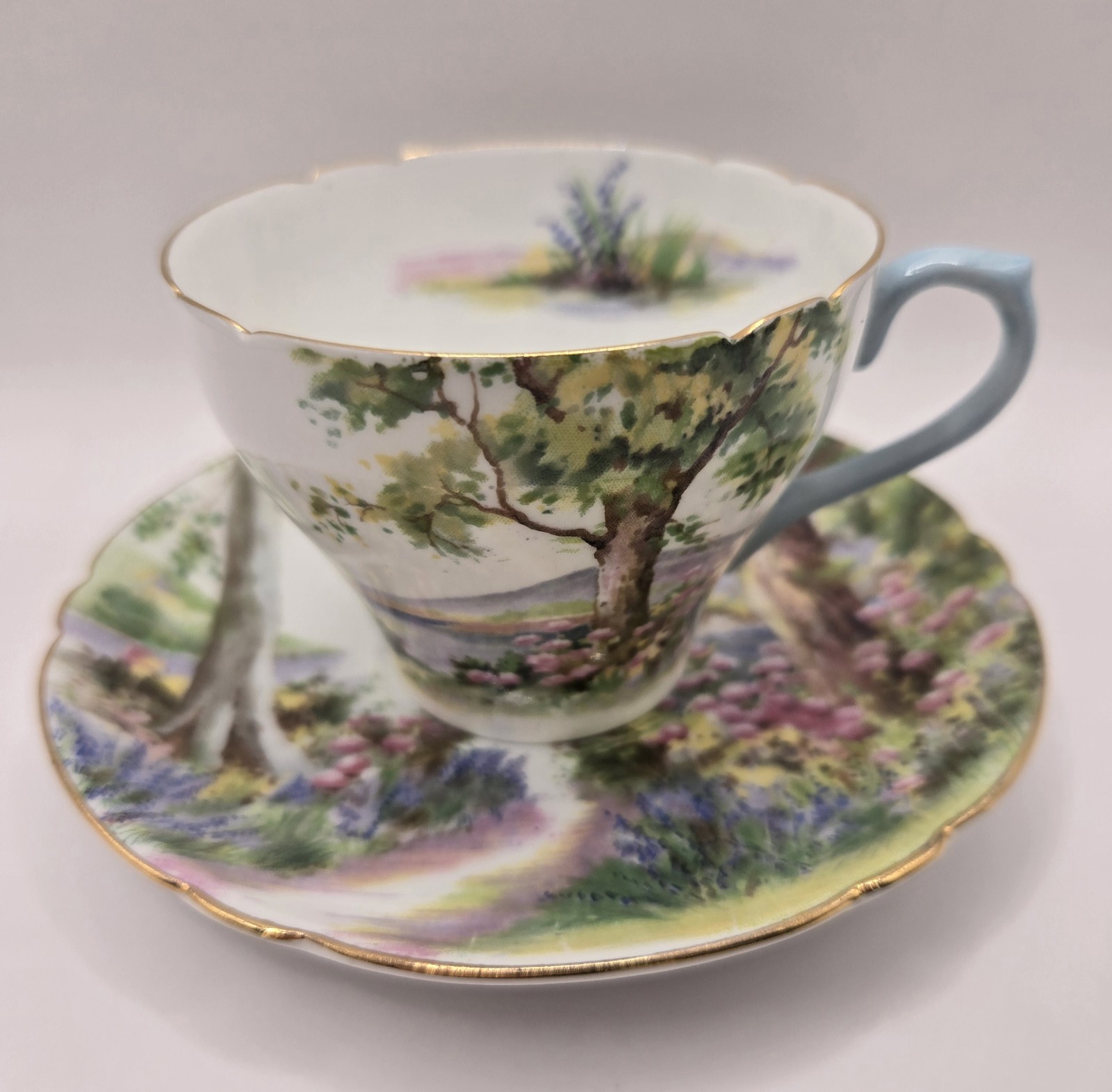 Tea Cup & Saucer by Shelly of England