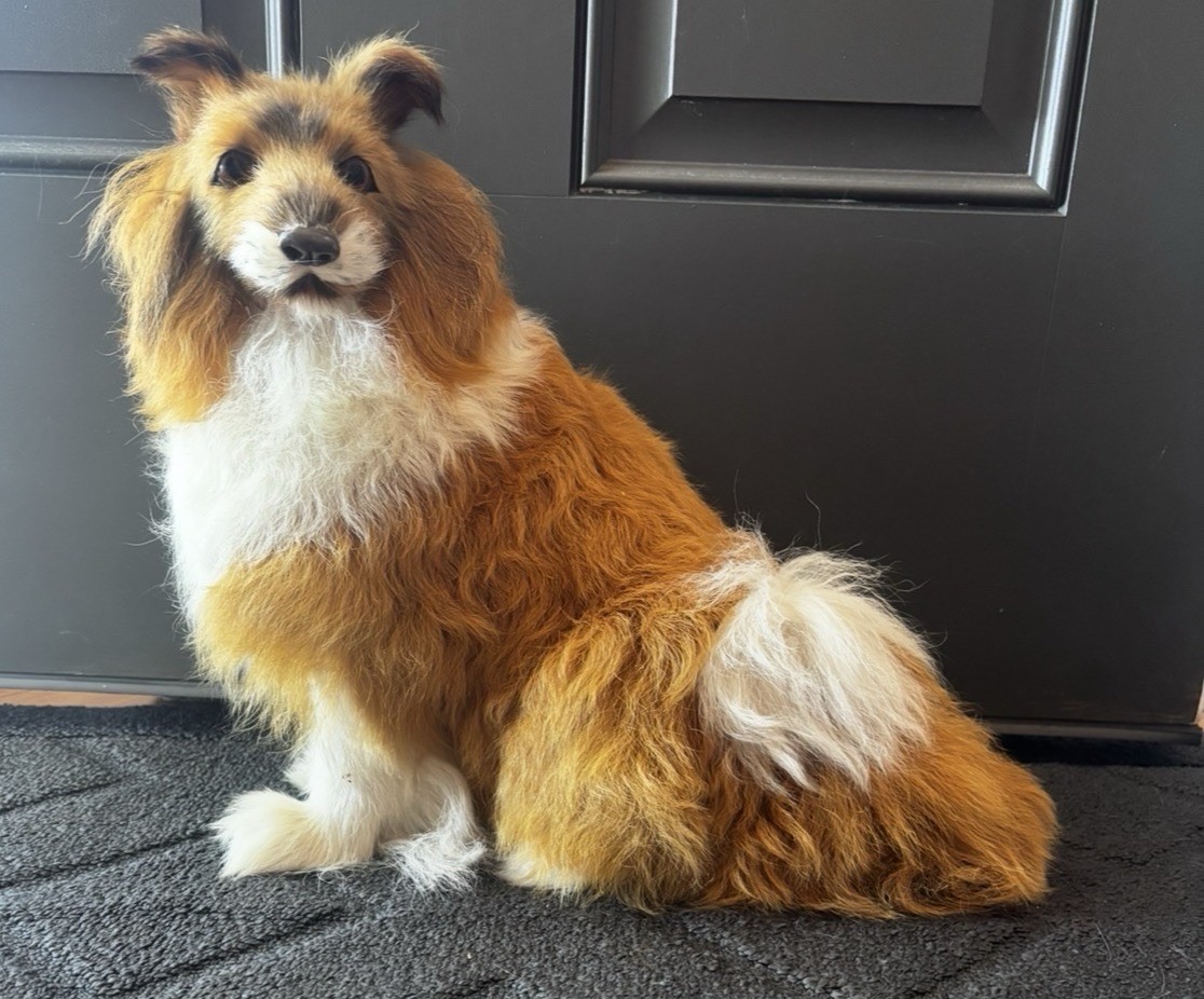 Made From Goat Fur, Lifelike Sheltie Or Collie, 13” Tall X 13” Wide,