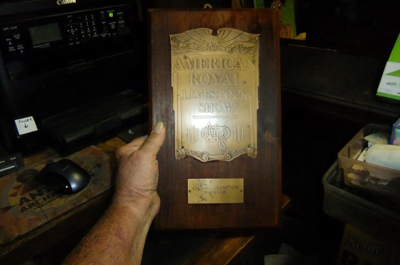 RARE-American Royal Livestock Show 1948 GRAND CHAMPION BARROW Trophy PLAQUE pig