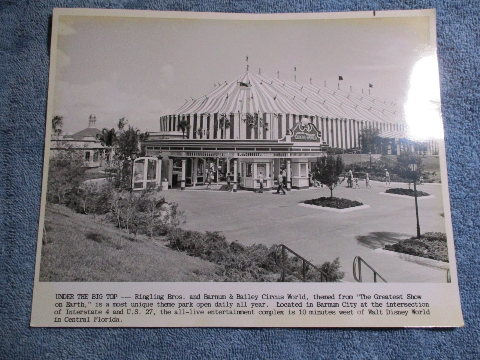 8x10 PHOTO RINGLING BROS AND BARNUM & BAILEY CIRCUS WORLD IN BARNUM CITY, FL