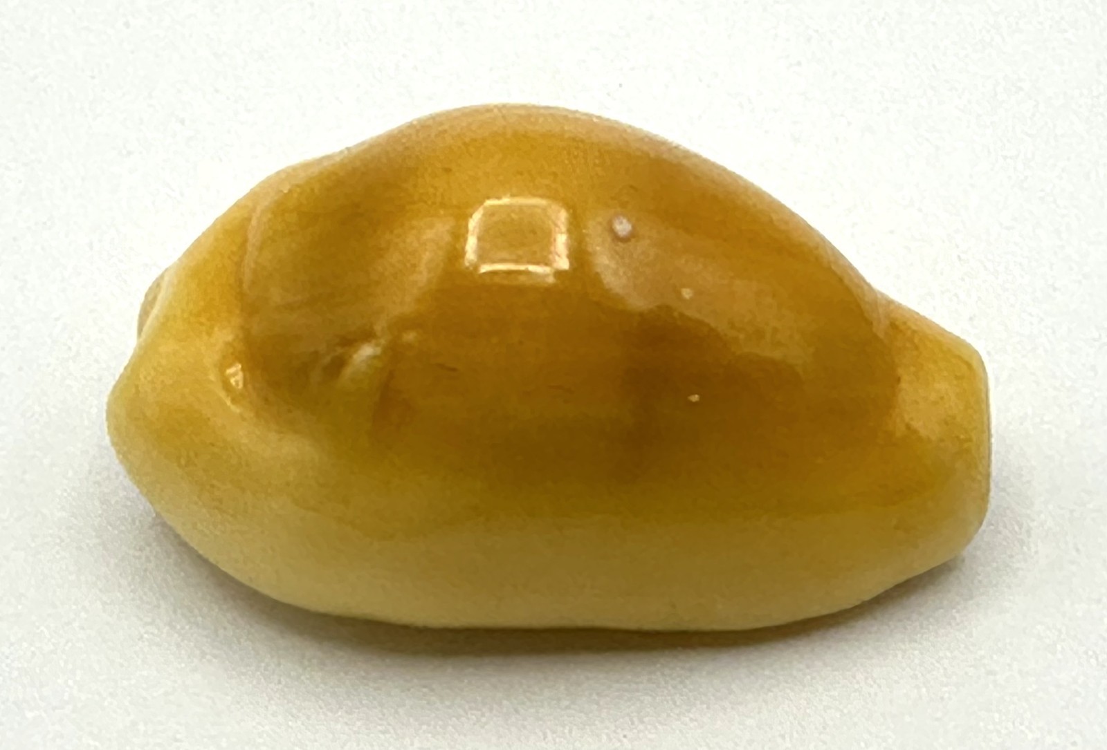 Monetaria moneta \ Monetaria moneta \