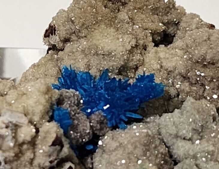 Pentagonite Cavansite Crystals on Matrix (Wagholi Mine)