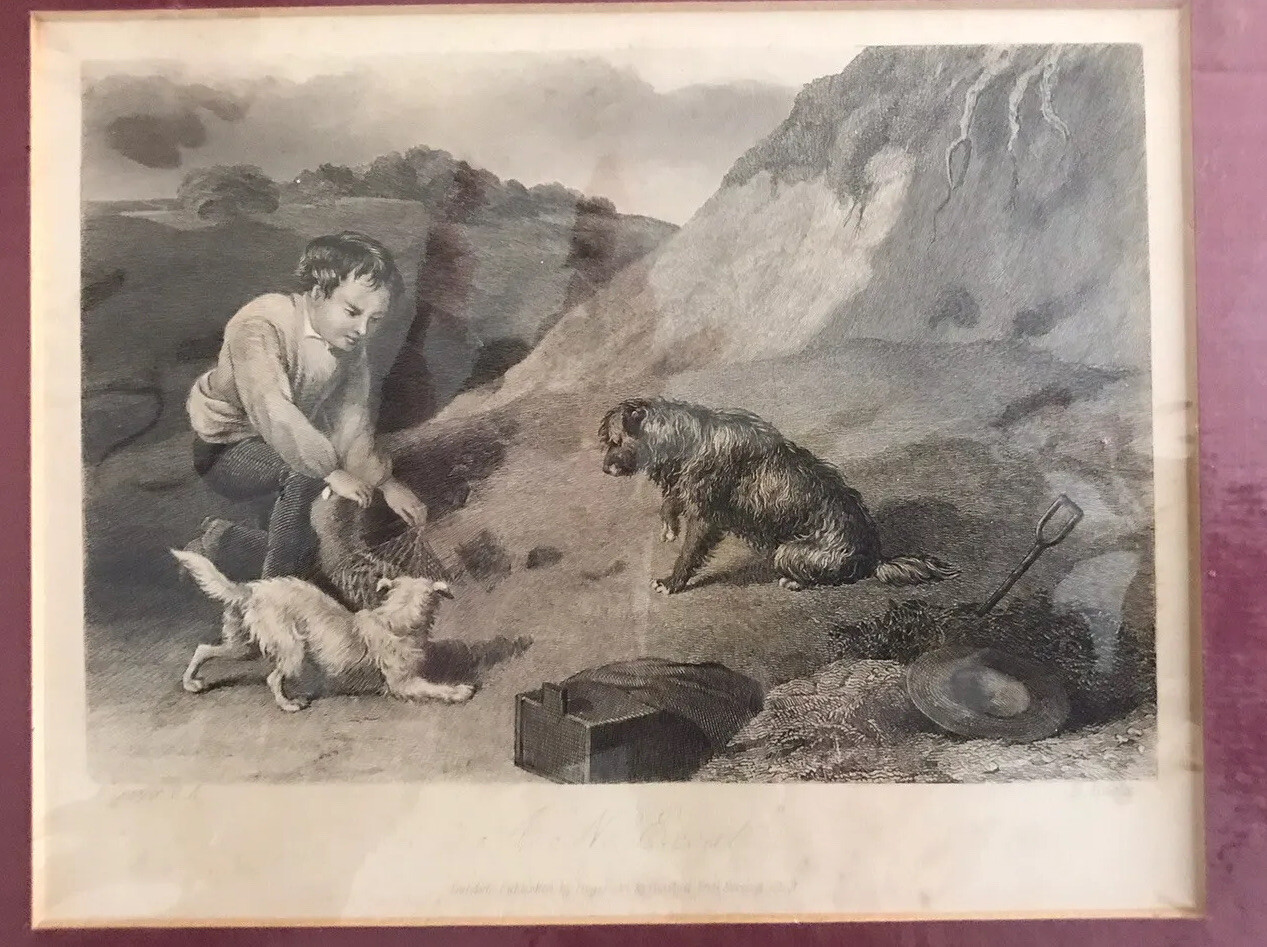 Terrier vintage print Original Terrier vintage print Original