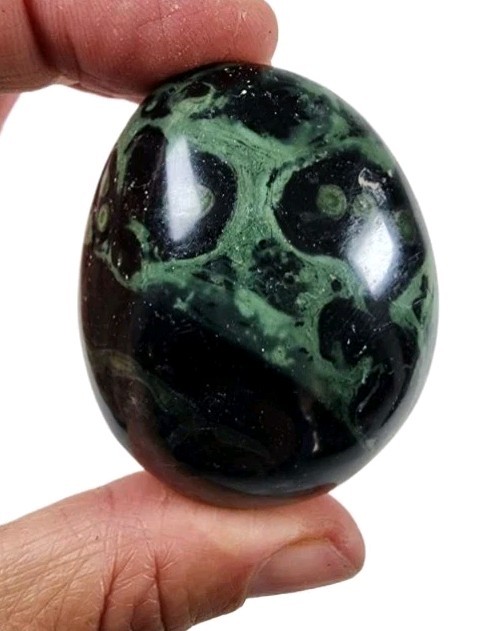 Crocodile Jasper Crocodile Jasper