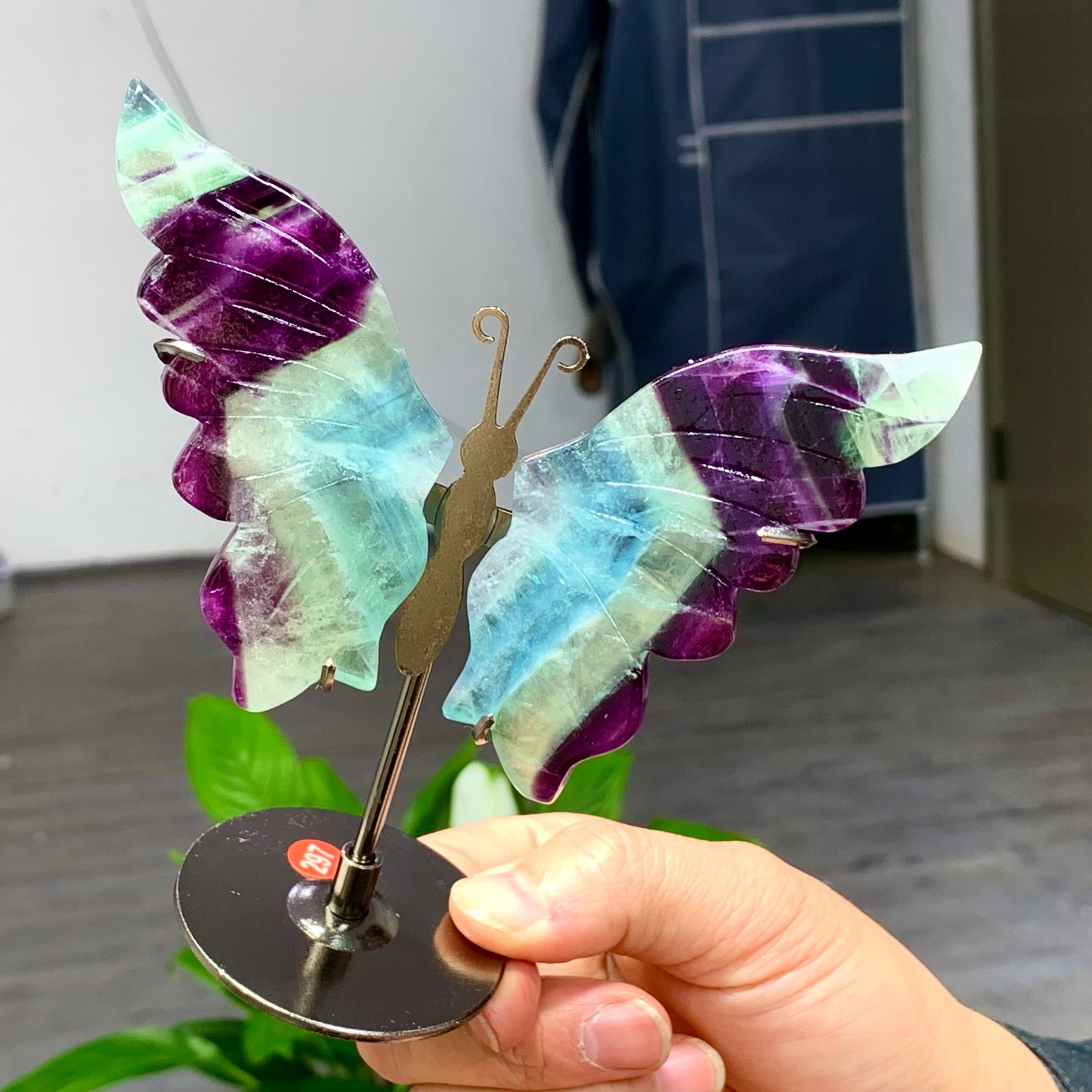 117G Natural fluorite hand carved butterfly wing specimen crystal