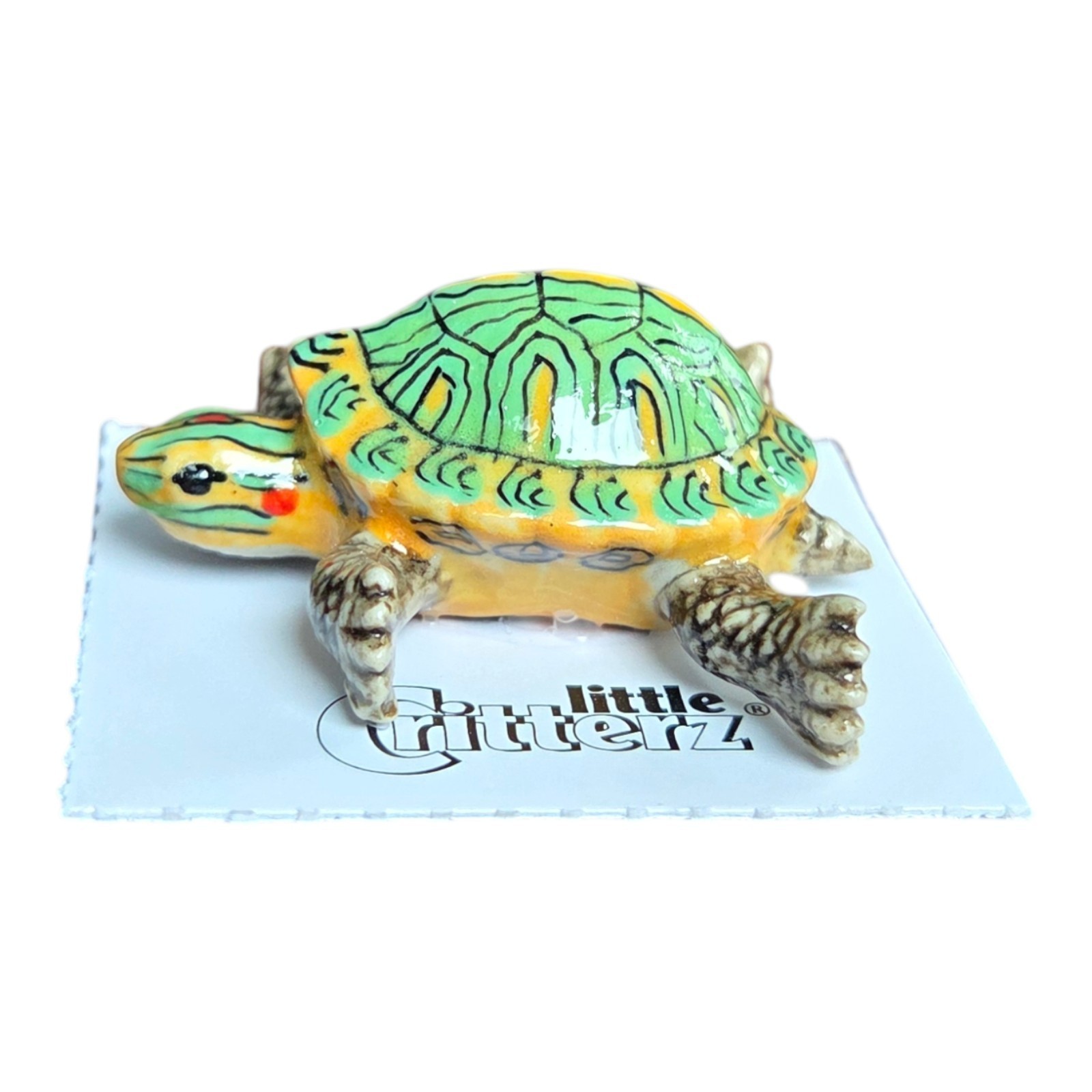 LITTLE CRITTERZ Turtle Red Eared Slider \ LITTLE CRITTERZ Turtle Red Eared Slider \