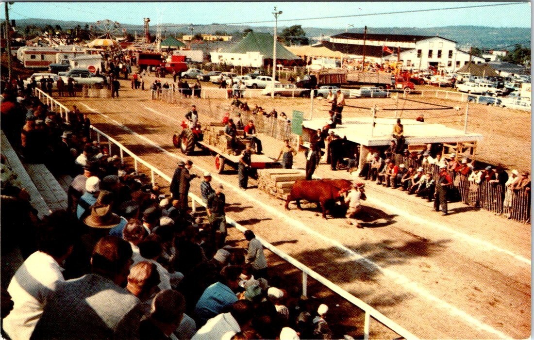 Lunenburg County Exhibition, BRIDGEWATER, Nova Scotia, Canada Postcard Lunenburg County Exhibition, BRIDGEWATER, Nova Scotia, Canada Postcard