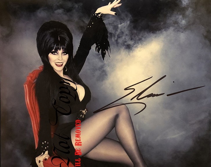 Elvira Framed Autographed/Signed Photo REPRINTS 12 Elvira Framed Autographed/Signed Photo REPRINTS 12
