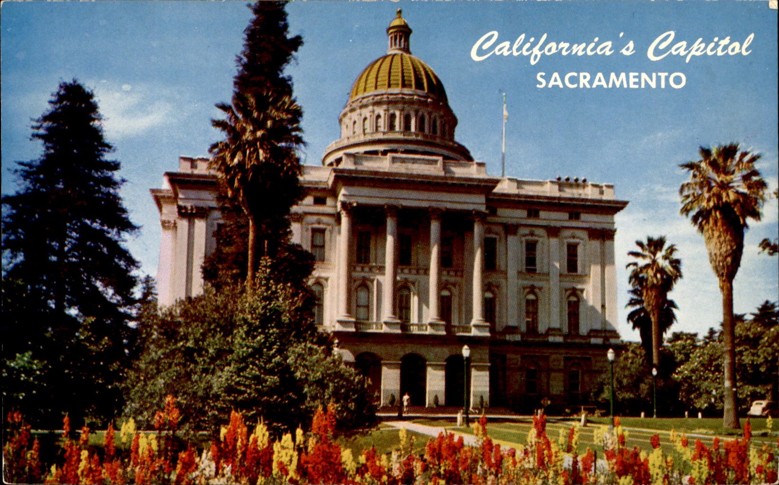 California\'s Capitol in Sacramento, 1903 Postcard