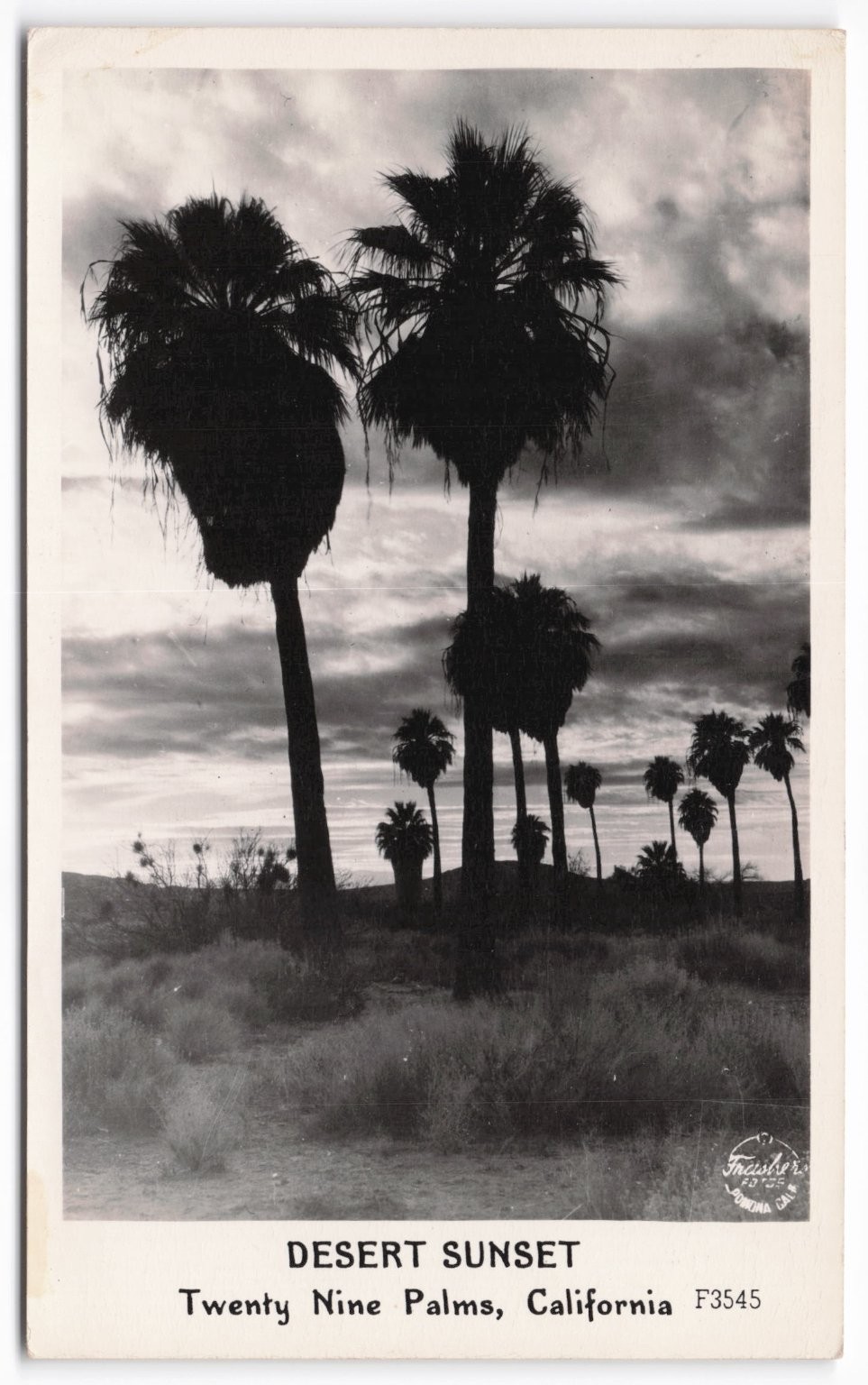 Vintage Frashers Foto Card Twenty Nine Palms California Desert Sunset RPPC