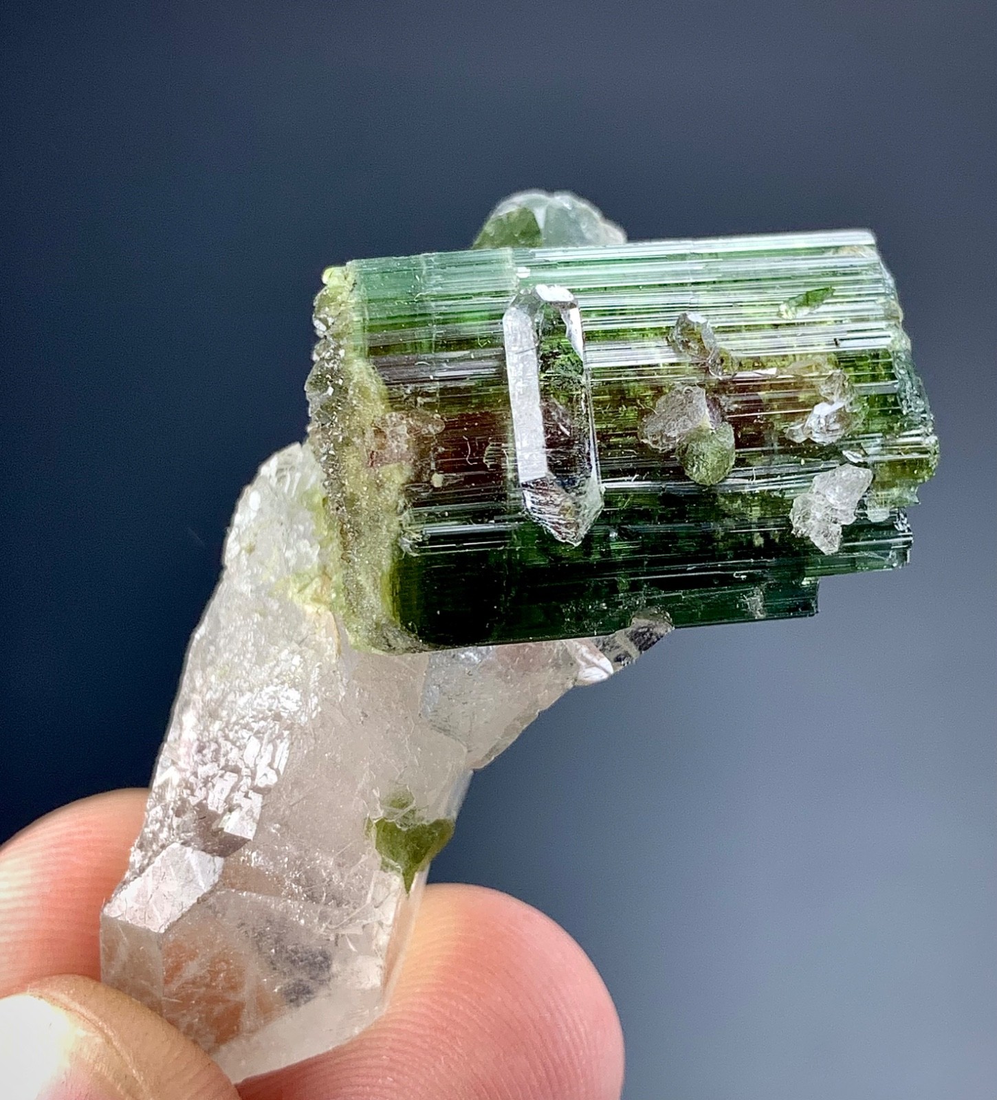 95 CTs Watermelon Tourmaline Crystal specimen from Afghanistan 95 CTs Watermelon Tourmaline Crystal specimen from Afghanistan