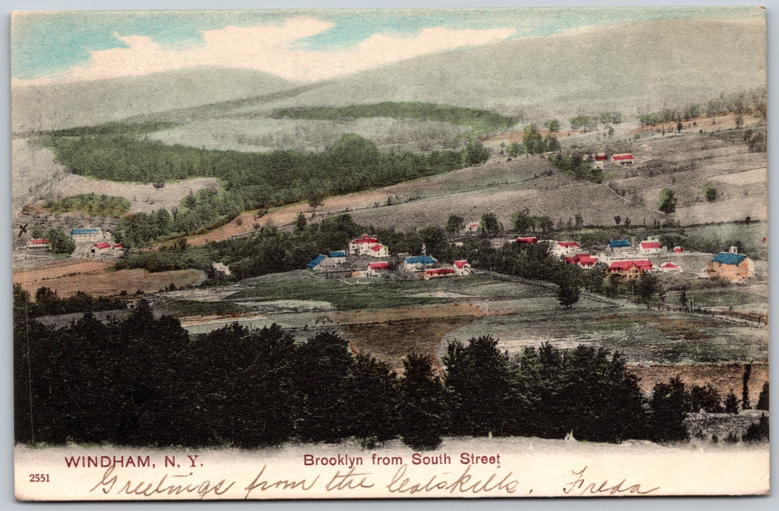 1906 Windham NY Brooklyn from South Street ANTIQUE Postcard