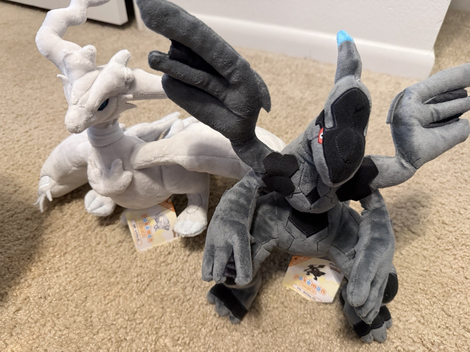 Zekrom & Reshiram Allstar Plushies * Pokémon Center * Zekrom & Reshiram Allstar Plushies * Pokémon Center *