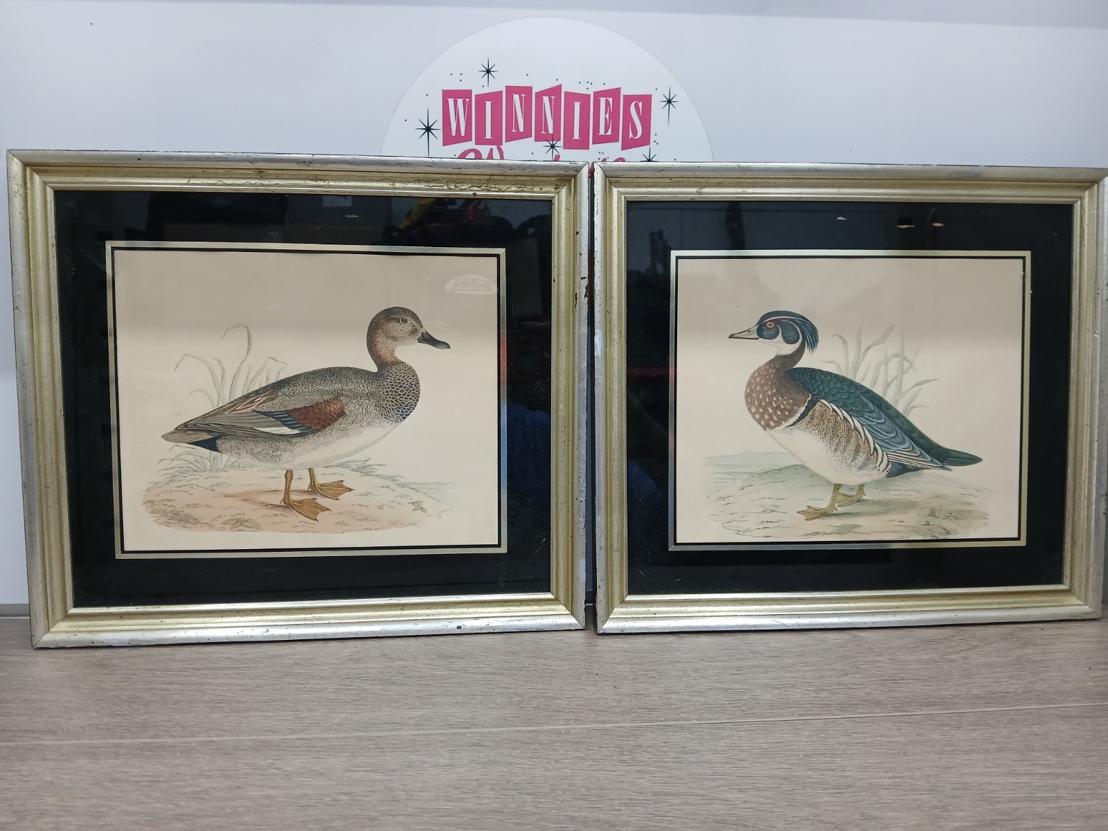 Vintage Framed Wildfowl Art Gadwall & Wood Duck