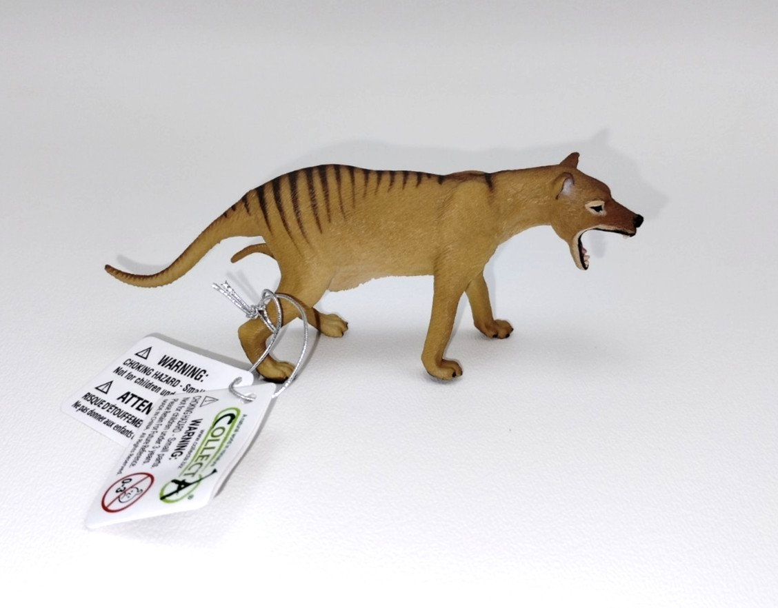 CollectA Thylacine Tasmanian Tiger Female w/ Joey Prehistoric Figure US Seller CollectA Thylacine Tasmanian Tiger Female w/ Joey Prehistoric Figure US Seller