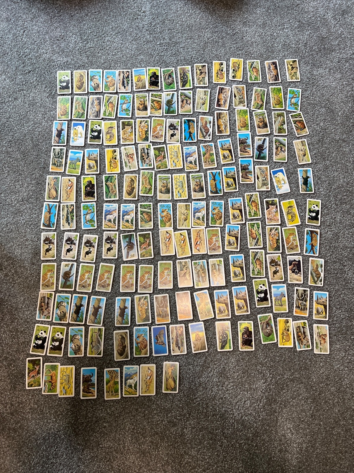 Vintage Brooke Bond Tea Cards Wildlife Animal Collection Lot 168 Cards Mixed Dup