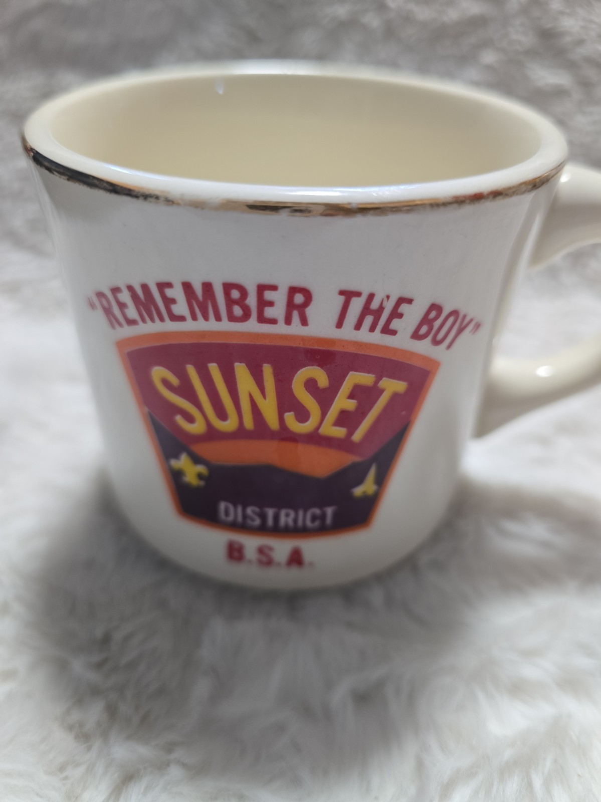 BSA Mug SUNSET DISTRICT BOY SCOUTS OF AMERICA 1970s Boy Scout Mug