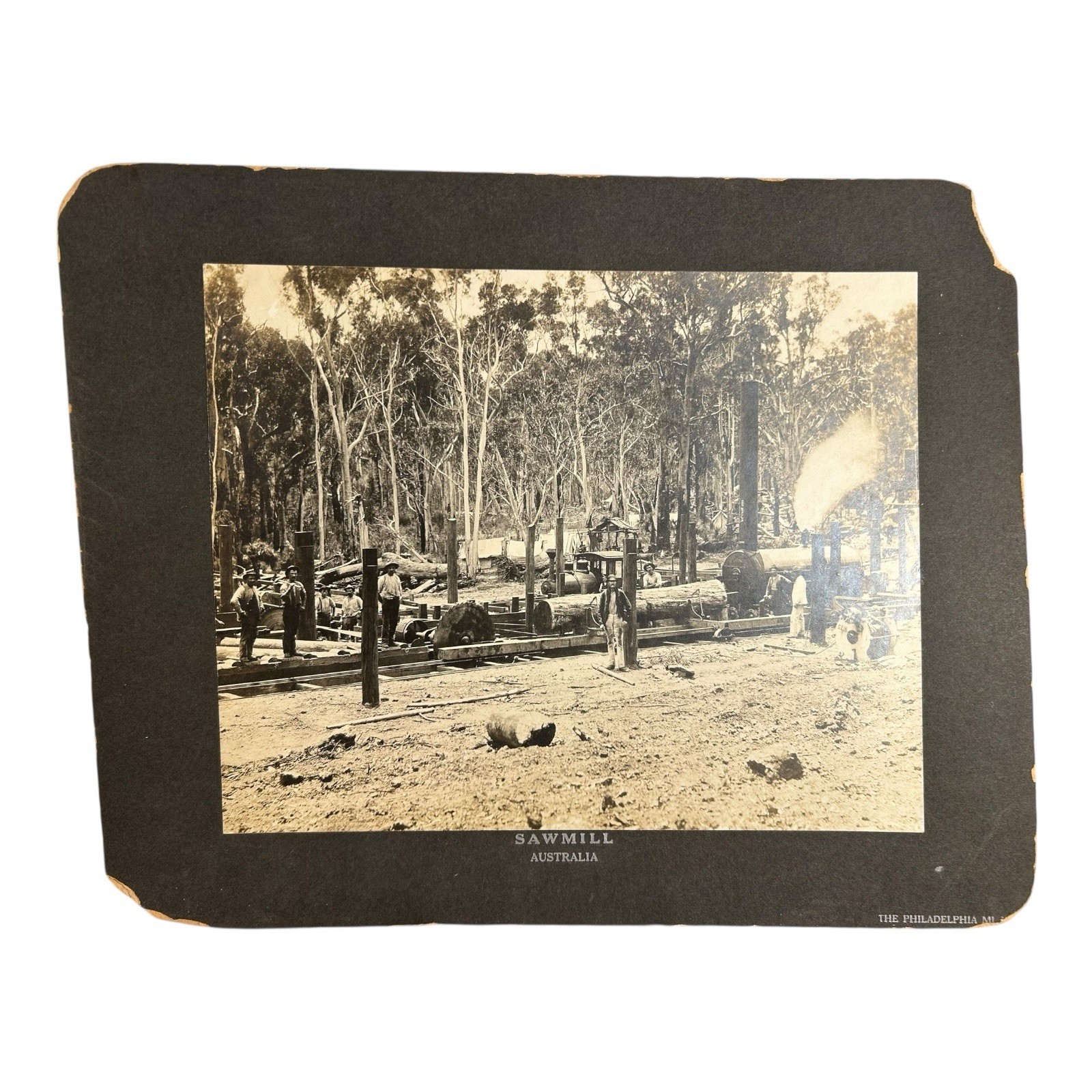 Antique Large Cabinet Card Early Photograph Australia Sawmill Owned by Mike Wolf Antique Large Cabinet Card Early Photograph Australia Sawmill Owned by Mike Wolf