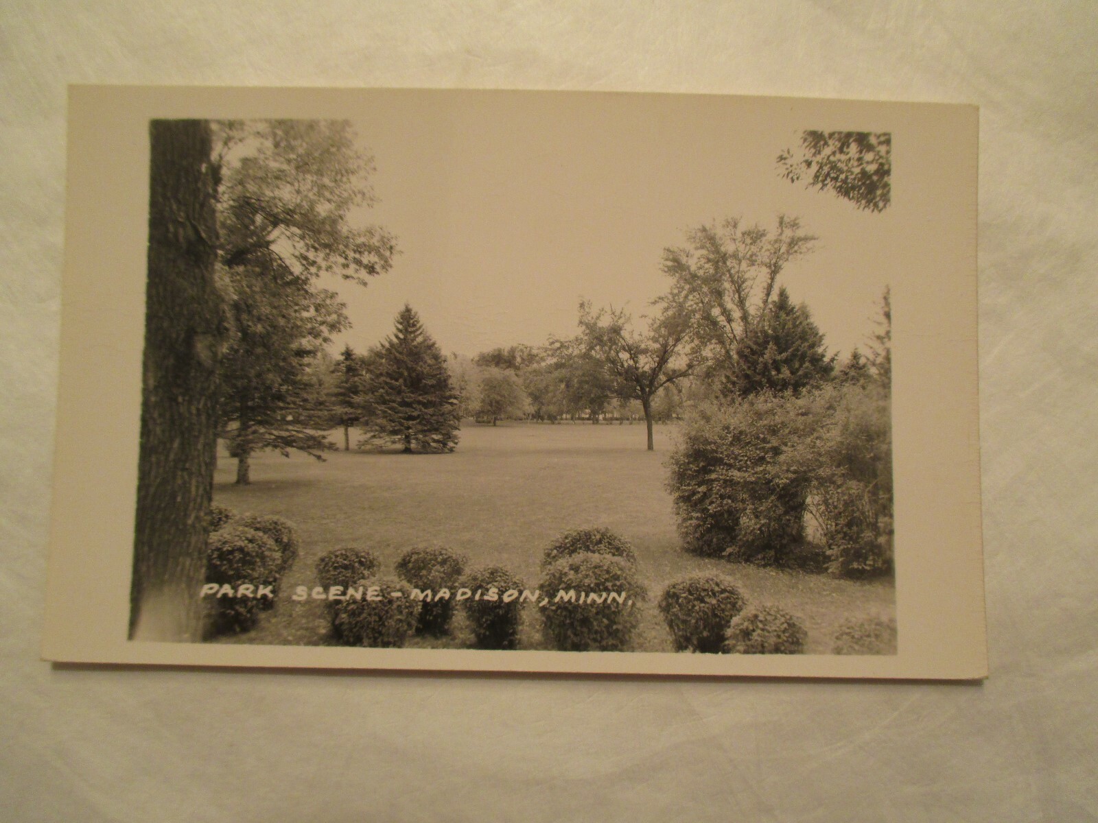 RPPC Park Scene Madison Minnesota MN Real Photo Postcard