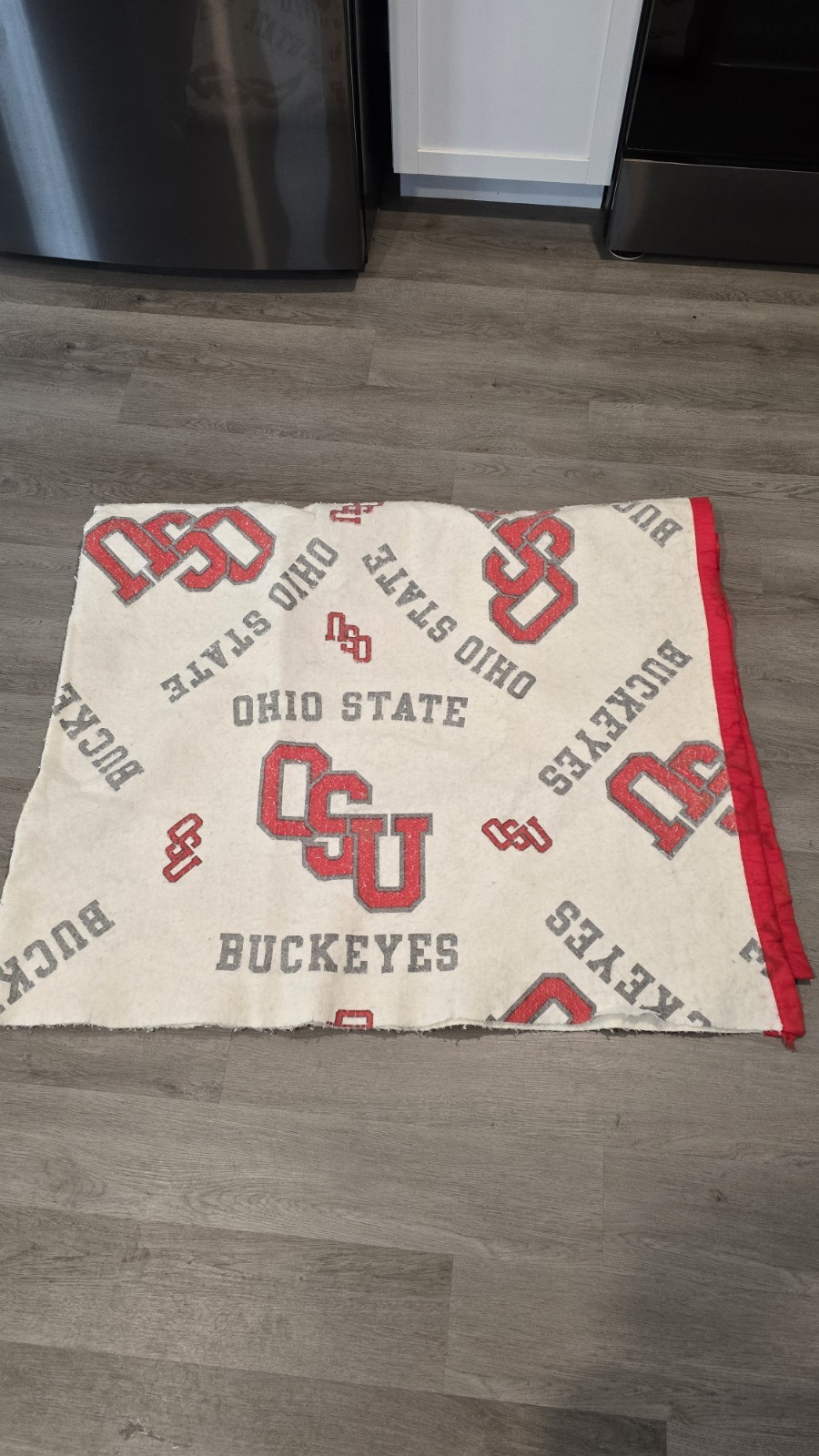 Vintage Ohio State University Buckeyes OSU Satin Trim Blanket 72