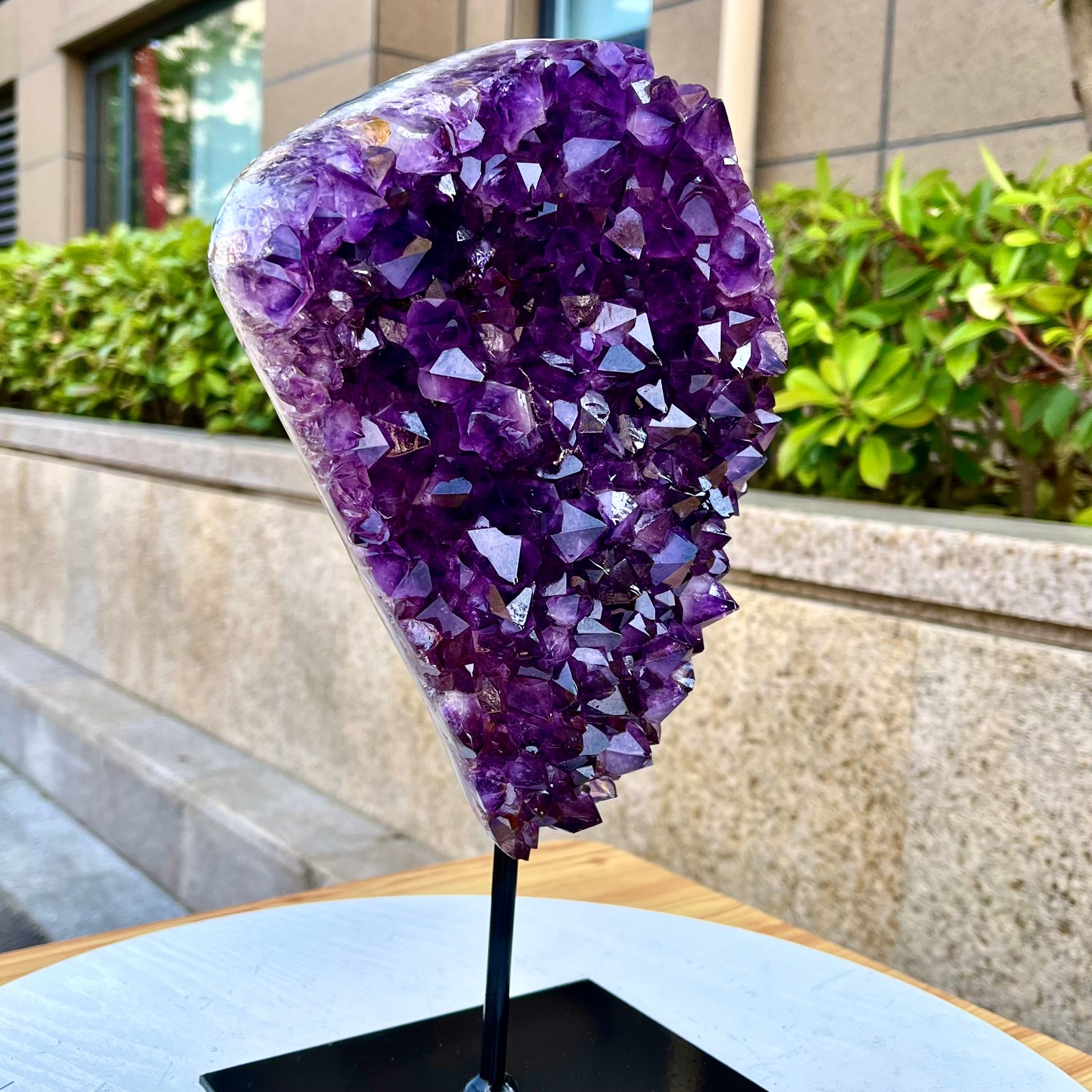 6.58LB Natural Brazilian high-grade amethyst thin skin large teeth