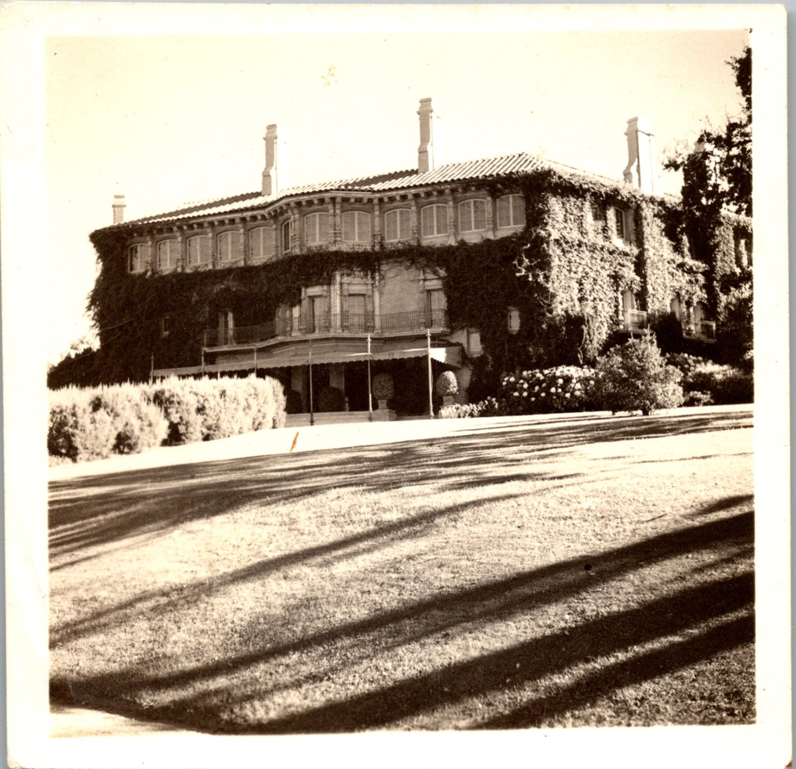 1938 The Knoll Stanford University California Original Vintage Photograph