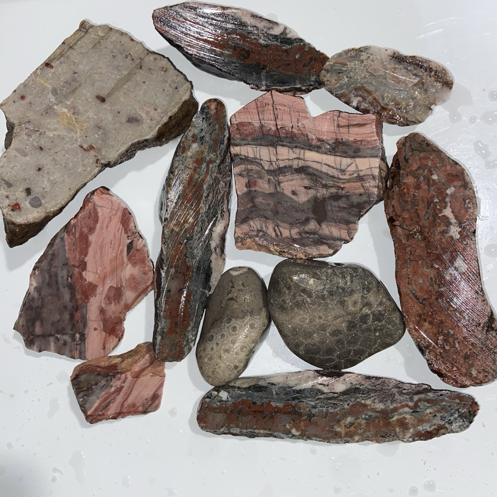 9 Pounds 9.78 Oz Bulk Rough Lot Michigan Agates And Other Misc Michigan Rough