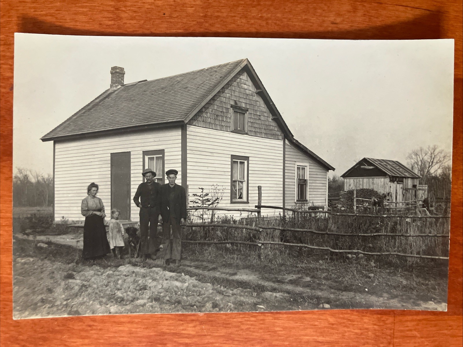 Dog w Family Homestead 1908 RPPC Real Photo Postcard Stetsonville Wisconsin