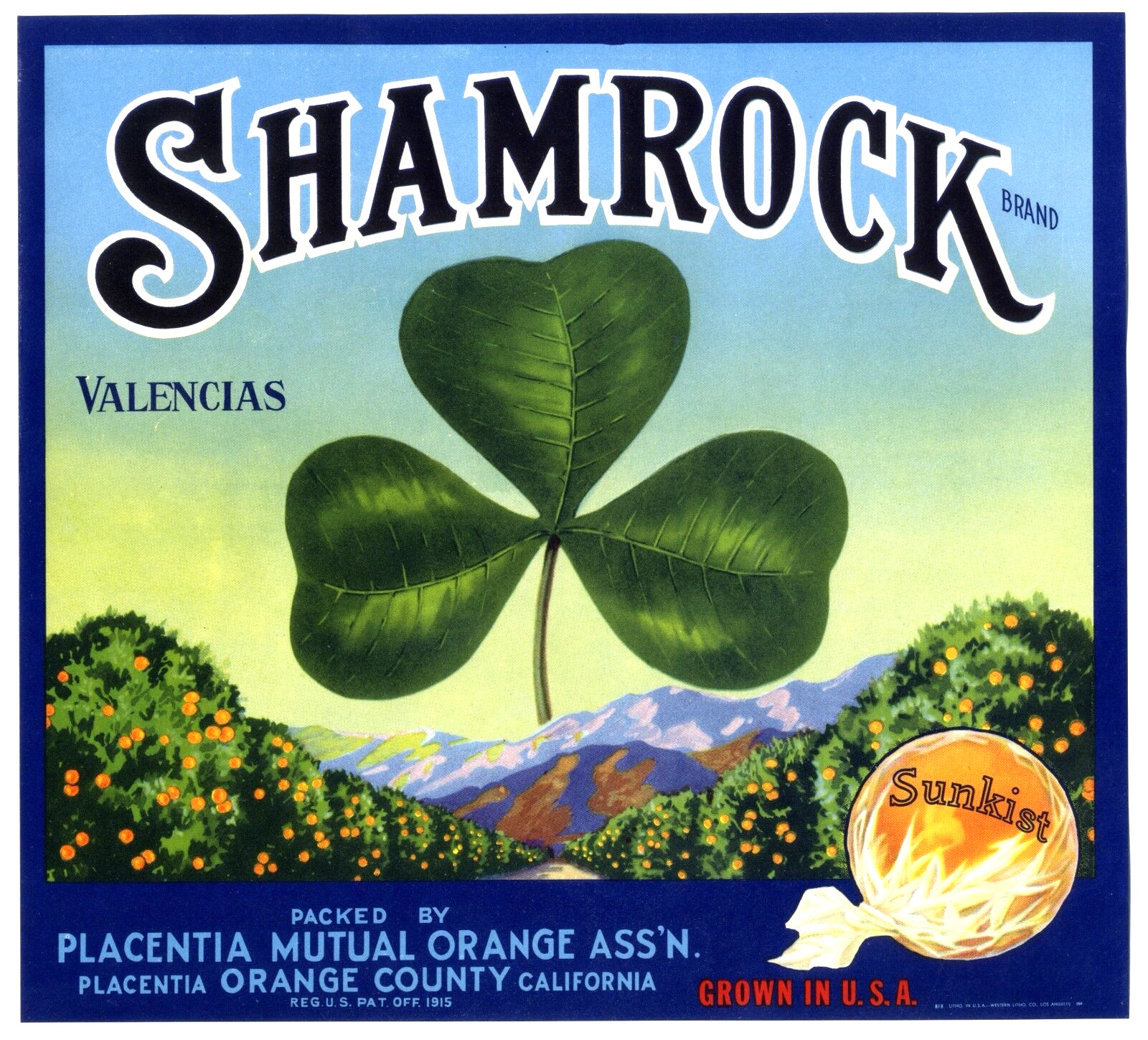 IRISH SHAMROCK~ORIGINAL 1930s PLACENTIA CALIFORNIA OLD ORANGE FRUIT CRATE LABEL