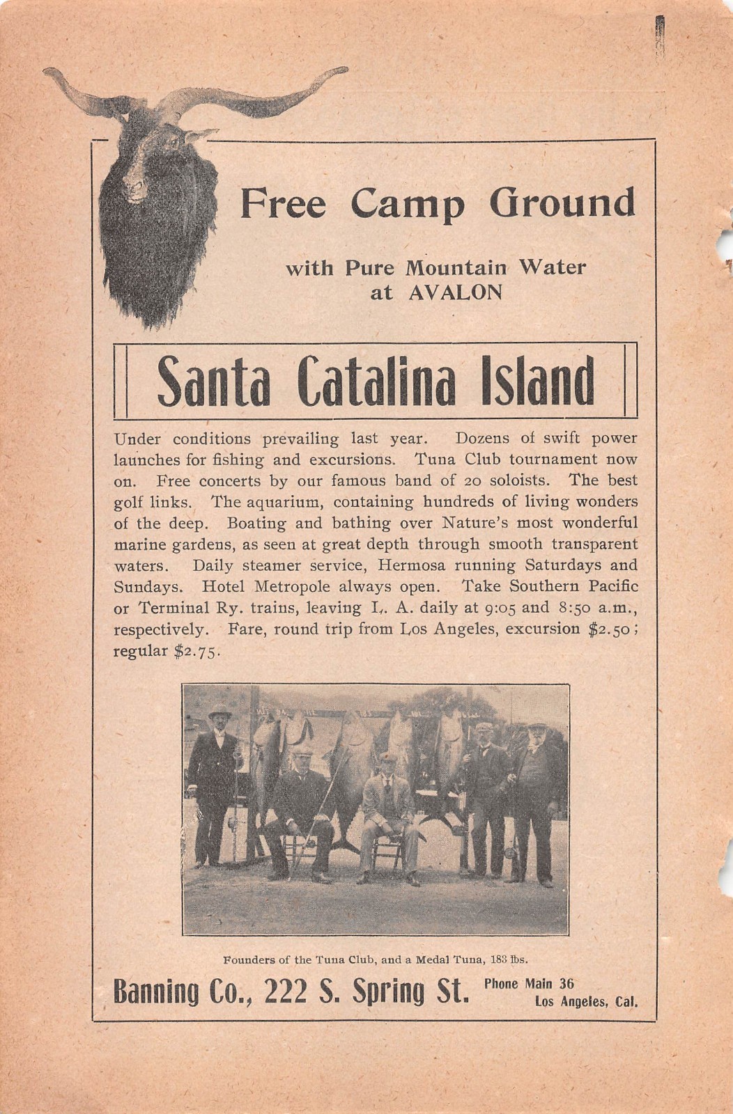1900 SANTA CATALINA ISLAND CA Tuna Club Tournament Deep Sea Fishing ANTIQUE AD 1900 SANTA CATALINA ISLAND CA Tuna Club Tournament Deep Sea Fishing ANTIQUE AD