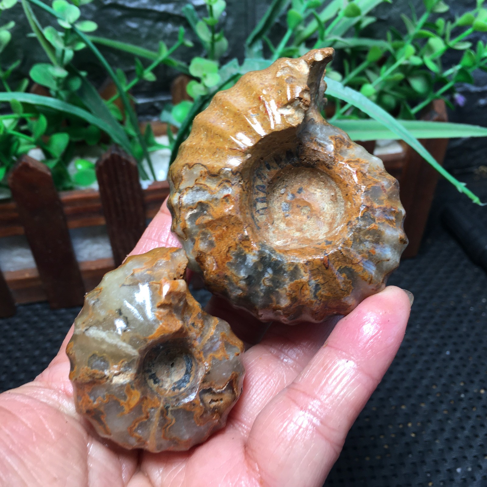 217g 2pcs natural crystal Stone sculptor decoration Specimen fb1979 217g 2pcs natural crystal Stone sculptor decoration Specimen fb1979