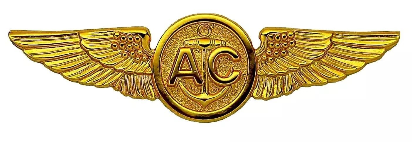 USN Aircrew Wings Badge Pin USMC Marine Coast Guard Gold Plated US Navy Air Crew