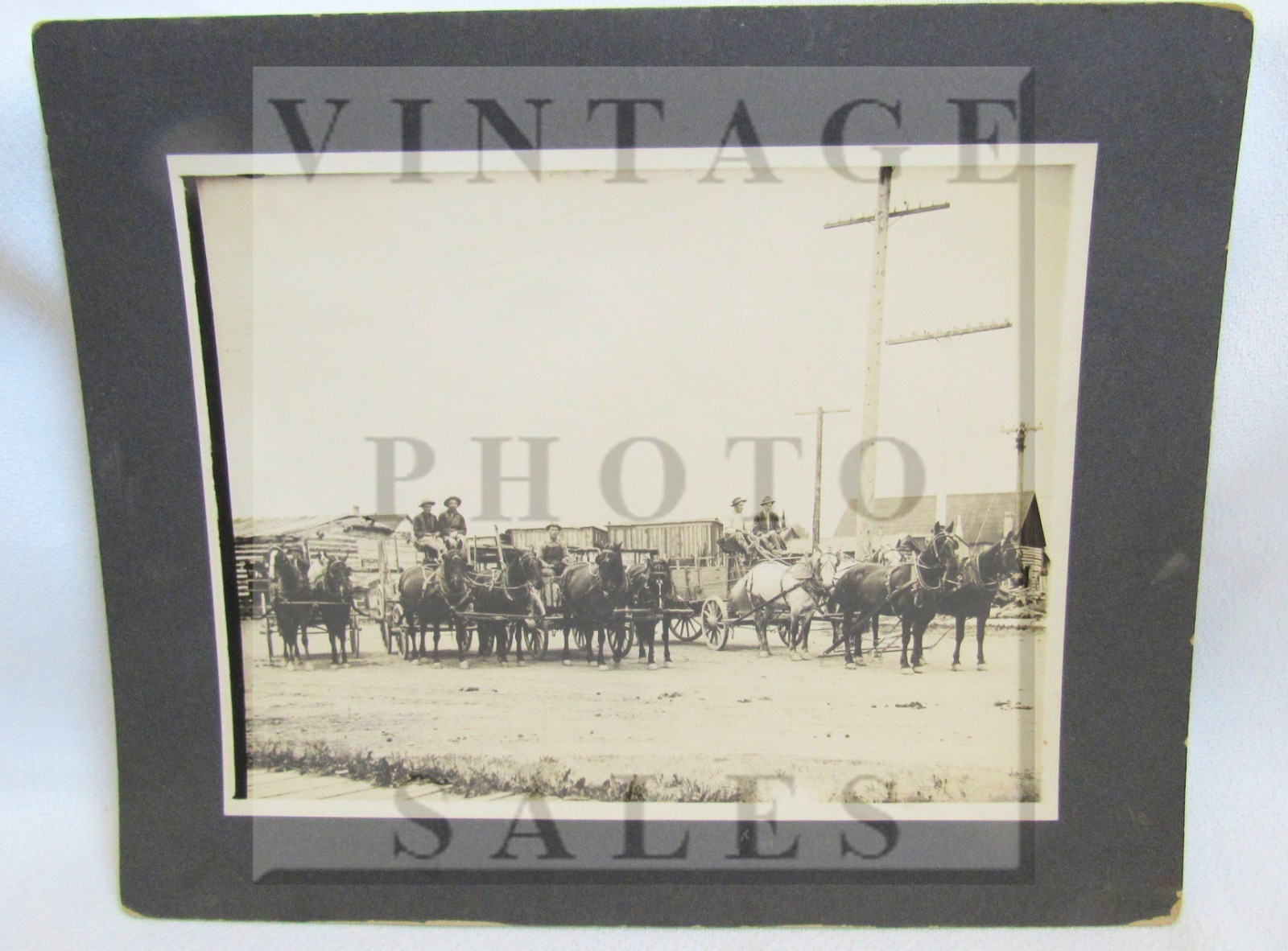 1902 Jensen Brothers Freight Line Deer Lodge Montana Wagon Team Photo Photograph