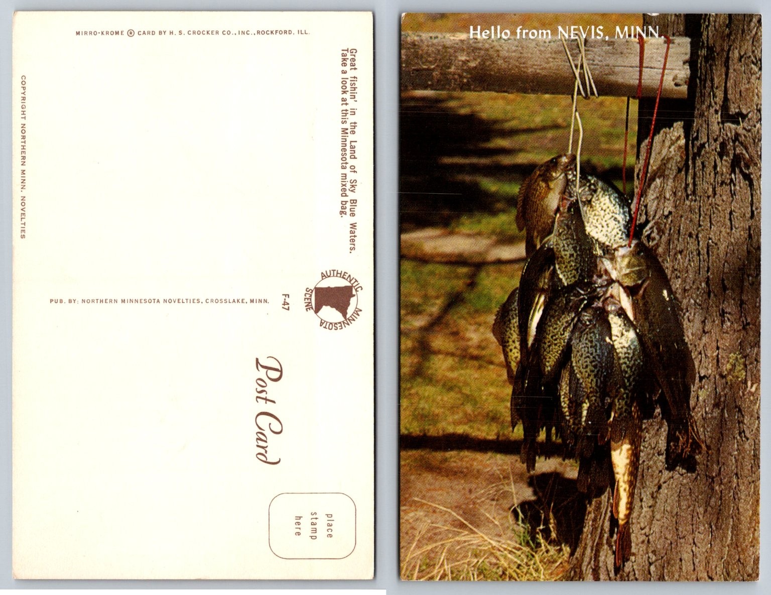 Vintage Postcard Nevis, Minnesota Fishing Mixed Bag Mirro-Krome F-47 Vintage Postcard Nevis, Minnesota Fishing Mixed Bag Mirro-Krome F-47