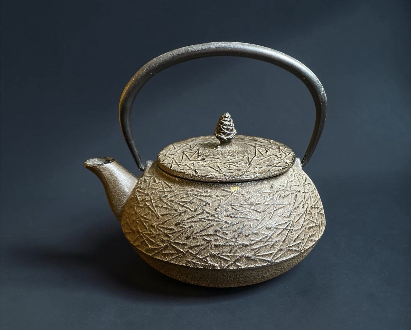 Vintage Japanese Tetsubin Cast Iron Teapot, Mid Century Japandi Earthy Kettle