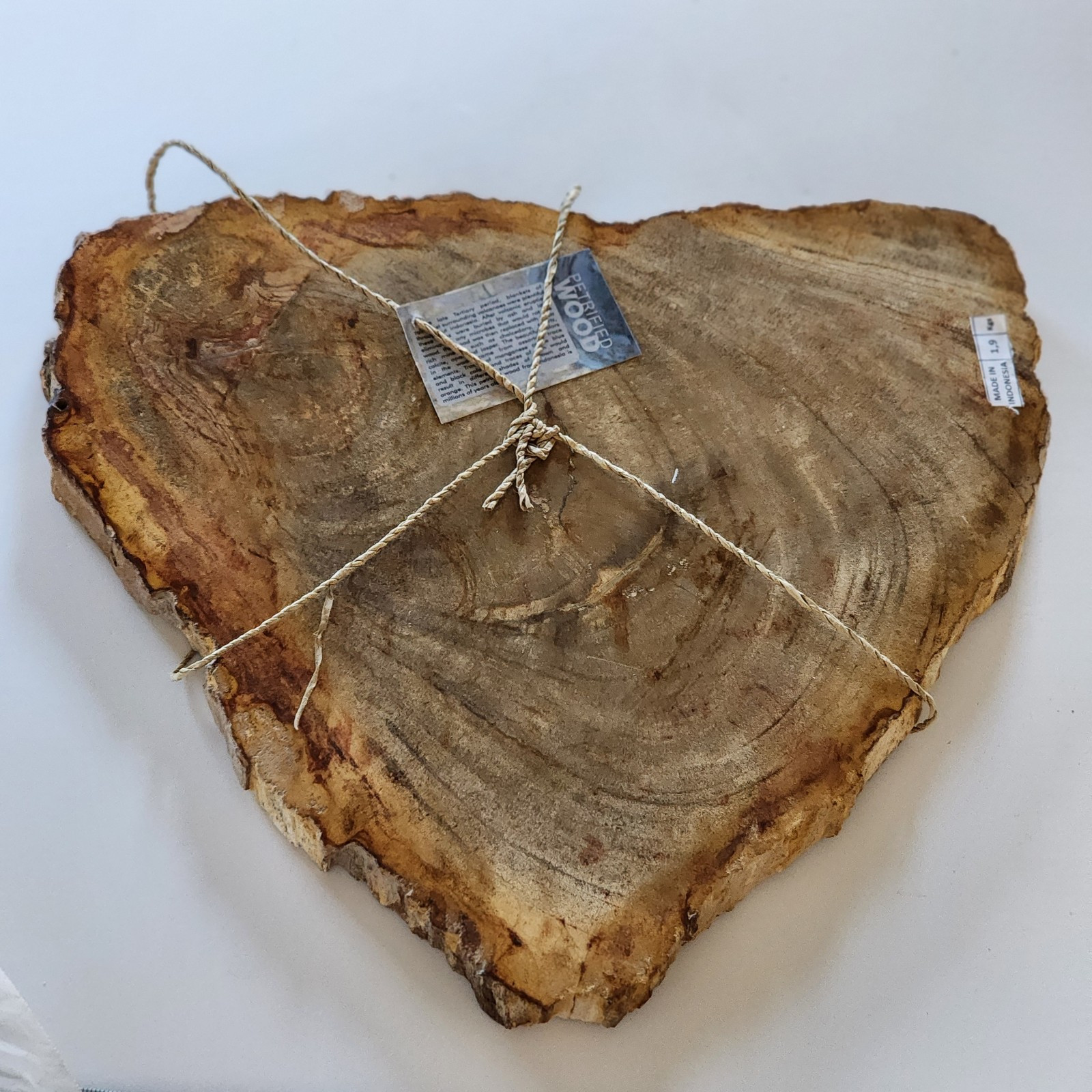 KCGS Natural Petrified Wood Slab from Indonesia US SELLER 4+LBS #0148 LARGE HEAV