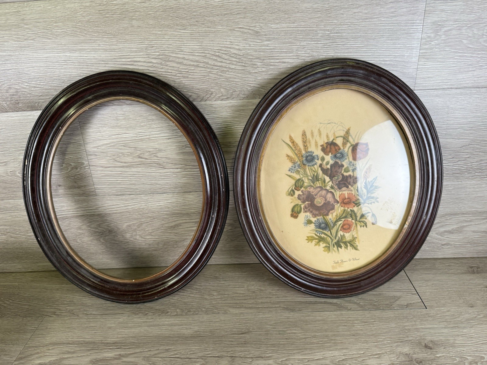 Antique Oval Walnut Wood Picture Frames Pair Victorian Style Portrait Frame Glas