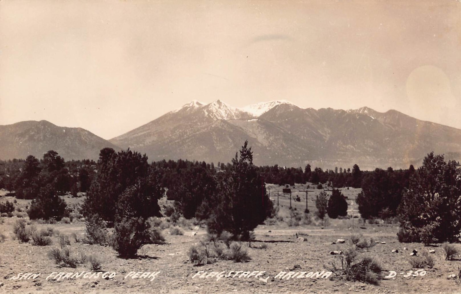 RPPC Flagstaff AZ Arizona San Francisco Peak Mountain Cow Photo Vtg Postcard B61